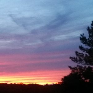 Meet your Posher, Ellfin